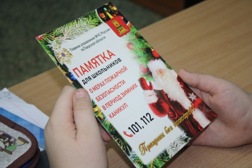 «Чтобы не случилось беды. Безопасность дома и на улице»