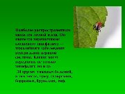 Слайд6