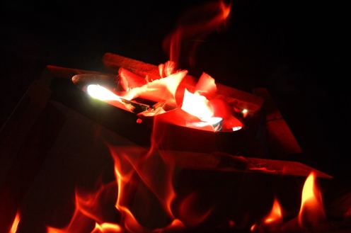 «Ночь в школе: беспокойная юность моя»