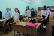 TUZStgs_SEM