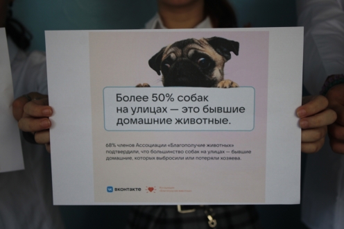 Акция «Для братьев наших меньших»