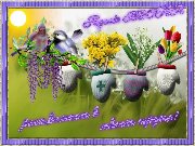 Z56WQS_iEWE