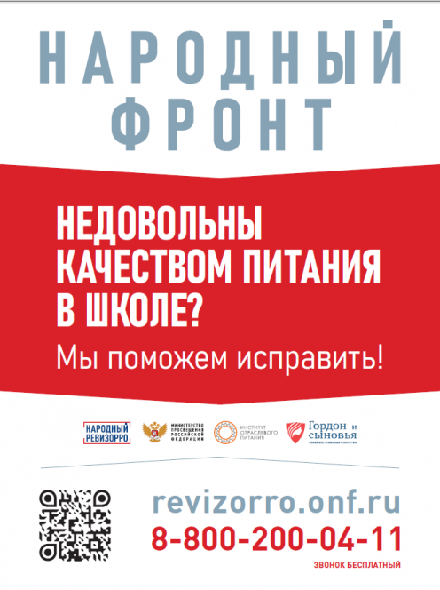 Проект "Народный ревизорро"