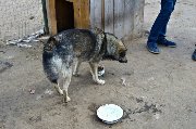 DSC_0827.jpg
