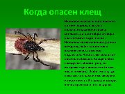 Слайд8