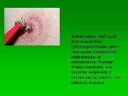 Слайд7