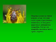 Слайд5