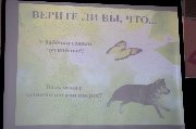 t-NvRXvFuzvKc6H8Nxd4nEhapITgkKut51COsCvzDun5ob1NOUIzKhpZpVP0subESBzFL_RqYD_25DwlTy9-haAp