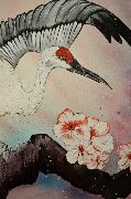 KM9iXvD1C4k